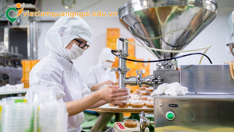 Tổng quan thị trường việc làm công nghệ thực phẩm Quảng Ngãi