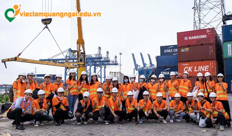 Các yêu cầu khi ứng tuyển việc làm logistics tại Quảng Ngãi