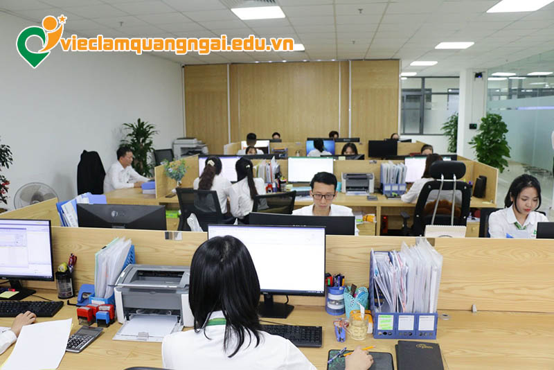 Nhu cầu tìm việc văn phòng tại Quảng Ngãi