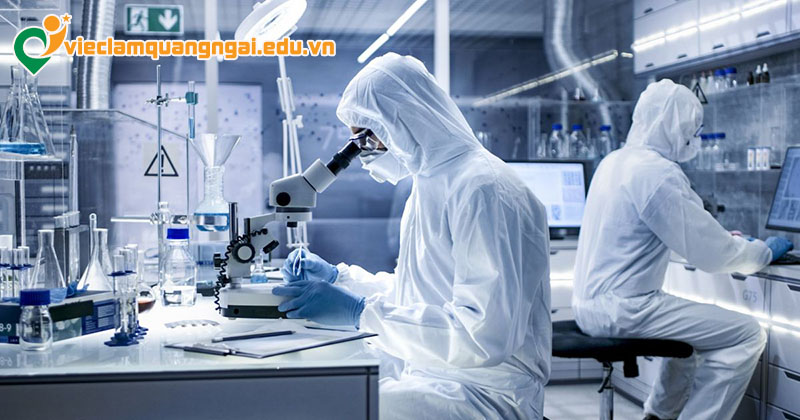 Nhu cầu tuyển dụng ngành công nghệ sinh học tại Quảng Ngãi