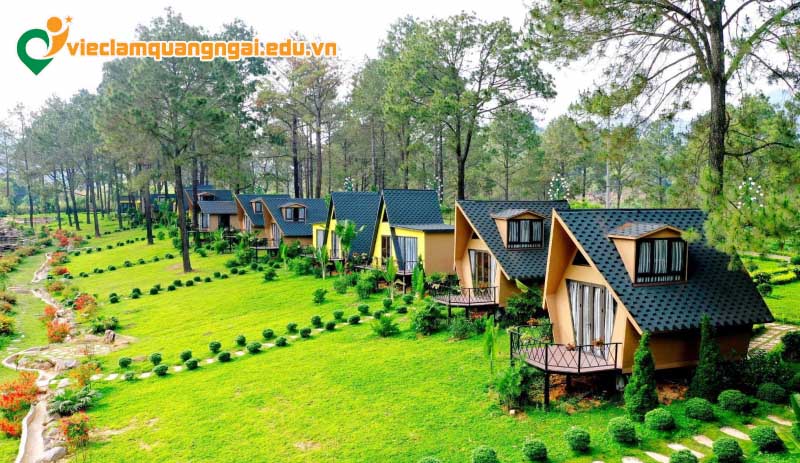 Nhu cầu tuyển dụng nhân sự phân khúc homestay tại Quảng Ngãi