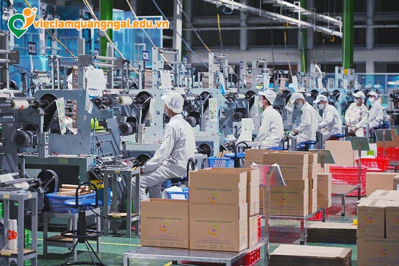 Tuyển dụng việc làm ngành công nghệ sinh học ở Quảng Ngãi